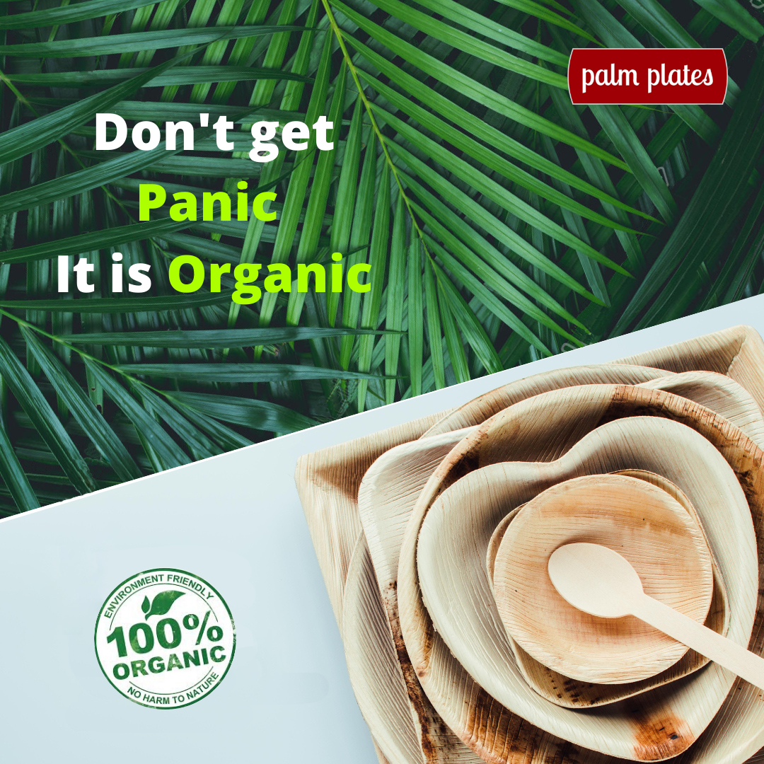 Save the Mother Earth, Let's use Organic Plates not Plastic

Visit:- palmplatesindia.com

Call now:- +91 8291626221

#disposablepartyplates #bambooparty #campingplates #picnicplates #bbqplates #ecohome #ecoproduct  #allnatural #savetheplanet #greenliving #Palmplatesindia