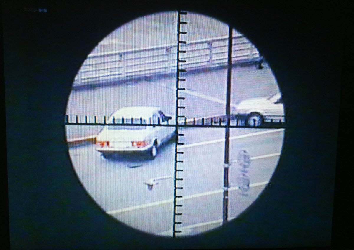 トラッドサニー