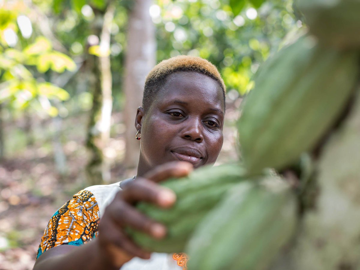 “Women are becoming more entrepreneurial and ultimately the household is benefiting from more money, so both the men and the women are happier." 🙌 #SheDeserves #FairtradeFortnight

buff.ly/2PF5Iba via <a href="/Independent/">The Independent</a>