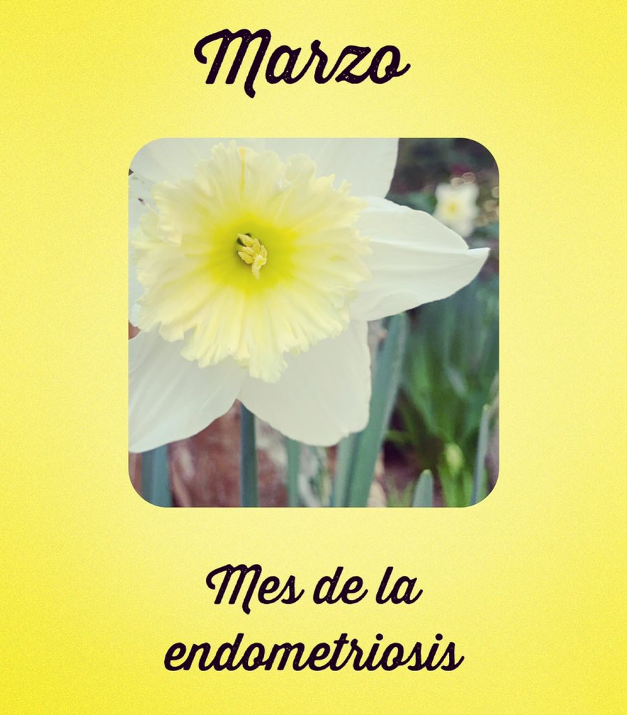 endo3nity's tweet photo. 🎗Necesitamos investigación, educación, profesionales formados y actualizados y recursos para ayudar a las mujeres a vencer esta enfermedad.
#endometriosis 
#adenomiosis https://t.co/C67FoIZ5L0