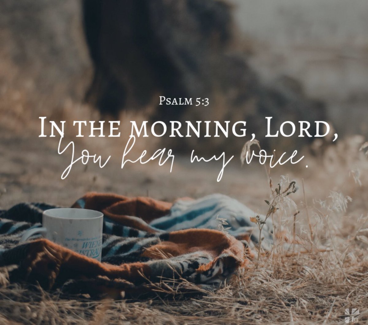 FreedomRoadBC's tweet photo. Happy Monday ☺️Often we’re so busy rushing &amp; heading to work in the morning, it can be easy to forget about God. Start each day this week with a prayer 🙏🏻 and see how your week goes! #MondayMotivation  #faith #Prayer #bethankful #GoodMorning https://t.co/xGfw0gcJRe
