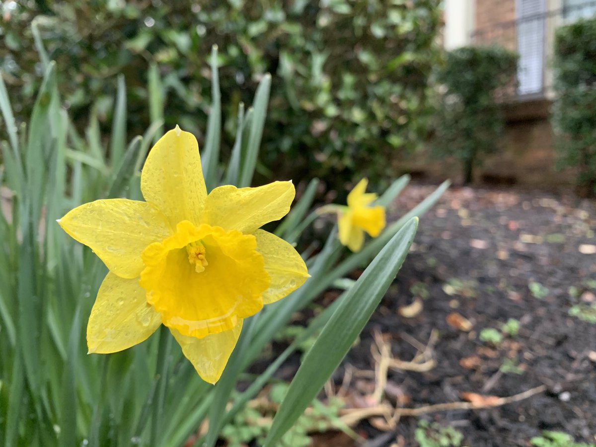 Catherine Bennett tweet media