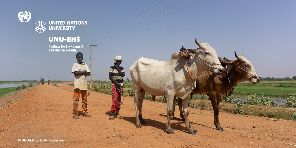 UNUEHS's tweet photo. Tomorrow is #Africa #Environment Day.
Check back tomorrow for a cool photo essay from #Niger🇳🇪 #RARSUS! https://t.co/eo6xh1DuLj