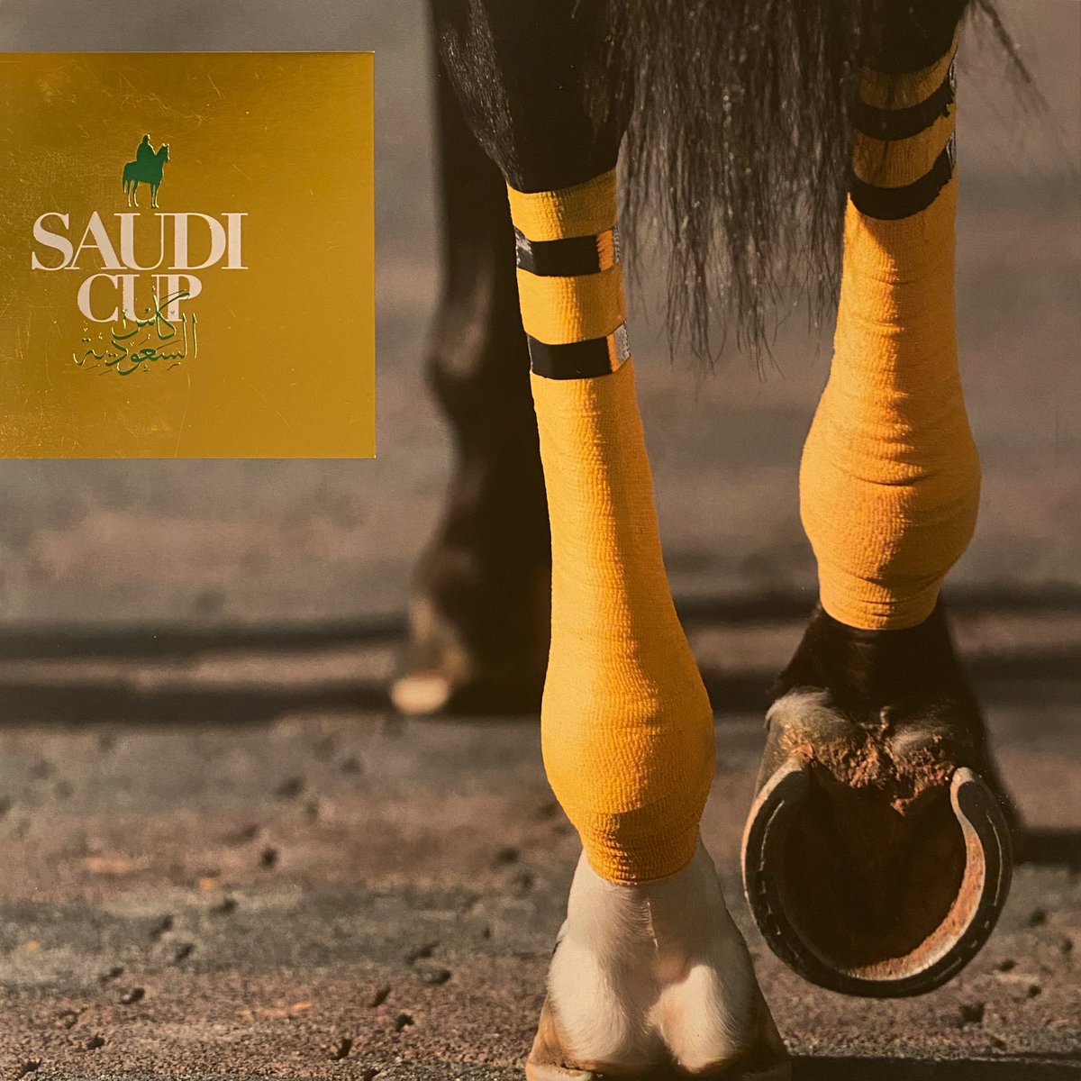 kasgraphics's tweet image. #saudicup#saudiarabia