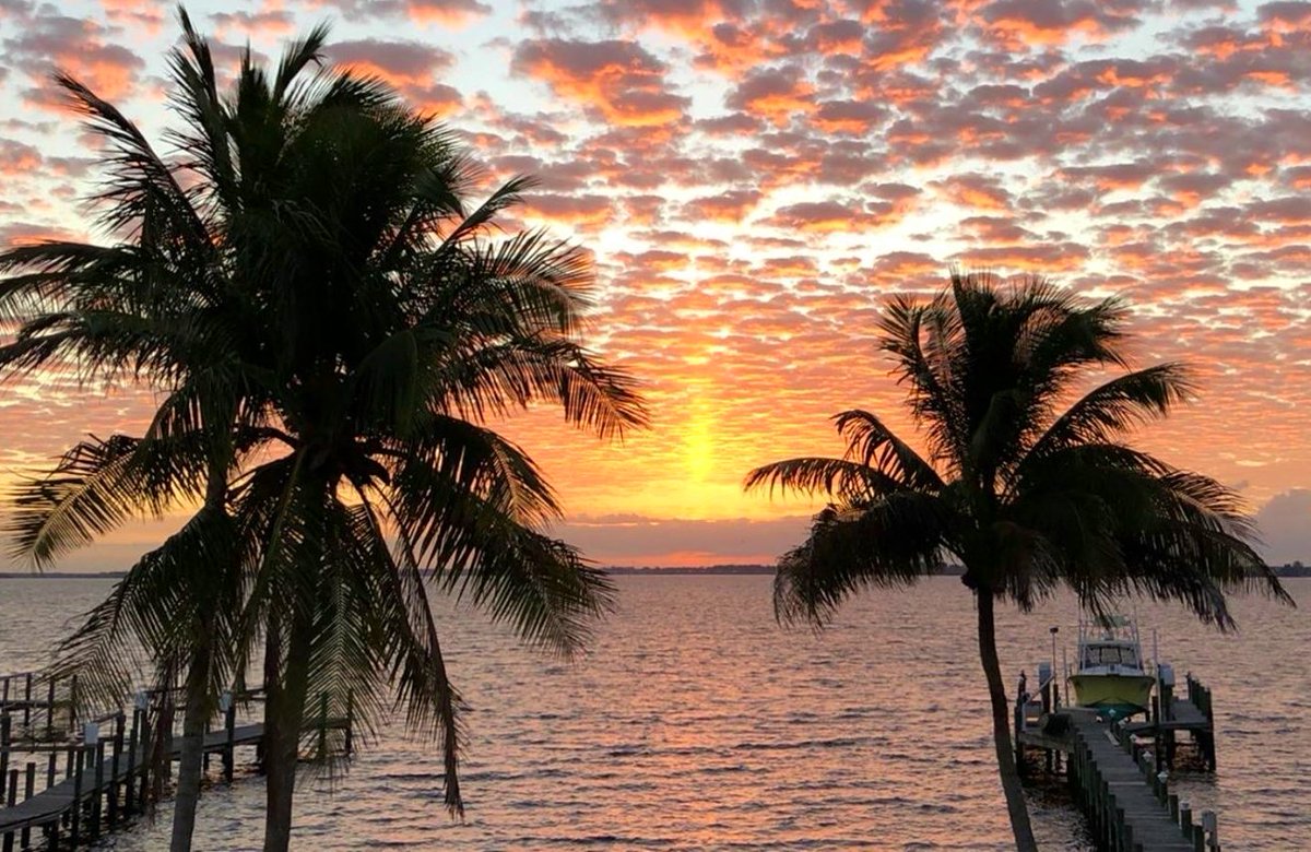 SW FLORIDA SUNRISE! 🌤️🔥 Check out the sun pillar between palm trees this morning from Charlotte Harbor. Wow! Credit: WINK viewer Melody #swfl <a href="/StormHour/">#StormHour</a> <a href="/spann/">James Spann</a>