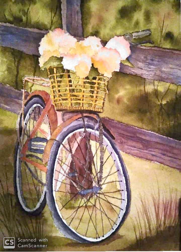 Donaldhoward58's tweet photo. Gail's bike https://t.co/mP2qraTuLK