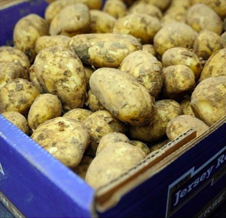 They’re here | New season Jersey Royals ✔️🥔
——
#jerseyroyals #jerseyroyalpotatoes #springiscoming #spring2020 #leapyear #sustainablefood #sustainableliving #sustainability #seasonal #seasonalfood #seasonalcatering #seasonalproduce #londonevents #londoncaterer