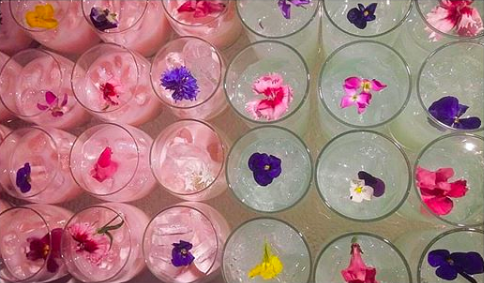 Glow milk lattes + beauty food cocktails on the menu last weekend ✨
____
#glowmilk #shimmeringdrinks #latte #ayurveda #beautyfood #icedlatte #pink #pinklatte #eventcaterer #londoncatering