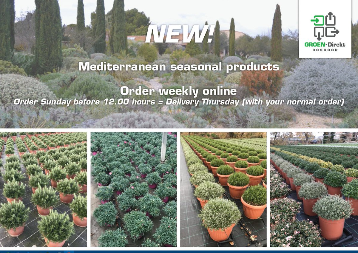 GROEN-Direkt tweet media