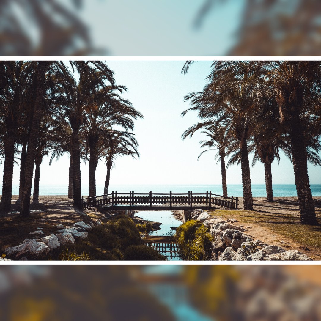 El pequeño paraíso!✨

Torremolinos, un barrio costero de la ciudad de Málaga ¡Sin duda uno de los referentes turísticos!🔝

Si decides escaparte a este municipio,  puede que seas el próximo que decida quedarse.👇🏻
🚅trenes.com/malaga/