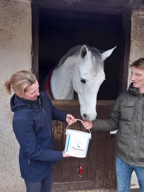 Hannah Bate Eventing tweet media