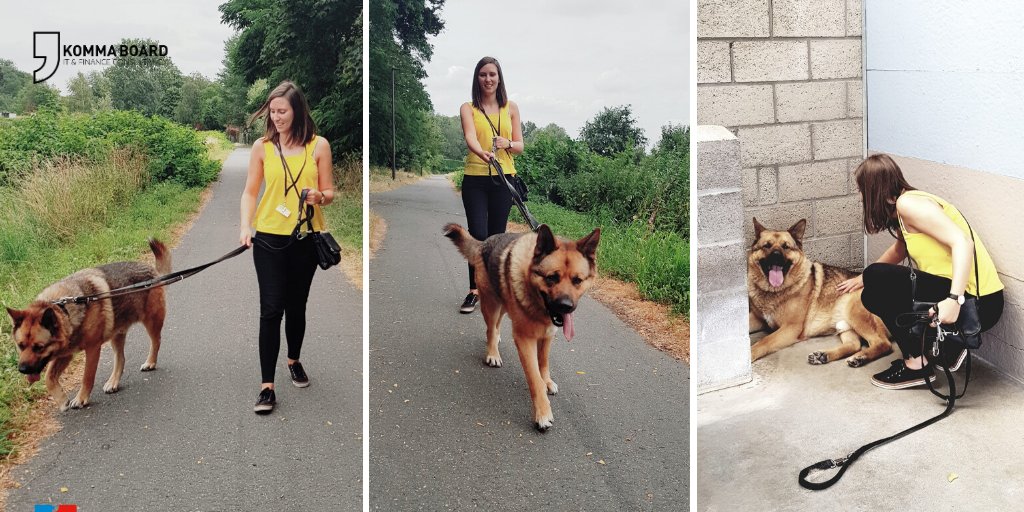 KommaBoard's tweet photo. Inge is vrijwilliger bij Dierenbescherming Mechelen en dat doet ze nu al een dikke 2 jaar. “De energie die de honden kwijt kunnen tijdens de wandeling, zuig ik op. Zo zijn we er voor elkaar, en daar doe ik het voor.”
#WijZijnKommaBoard #WeekVanDeVrijwilligers #Vrijwilligerswerk https://t.co/C7HtkDG6Oa