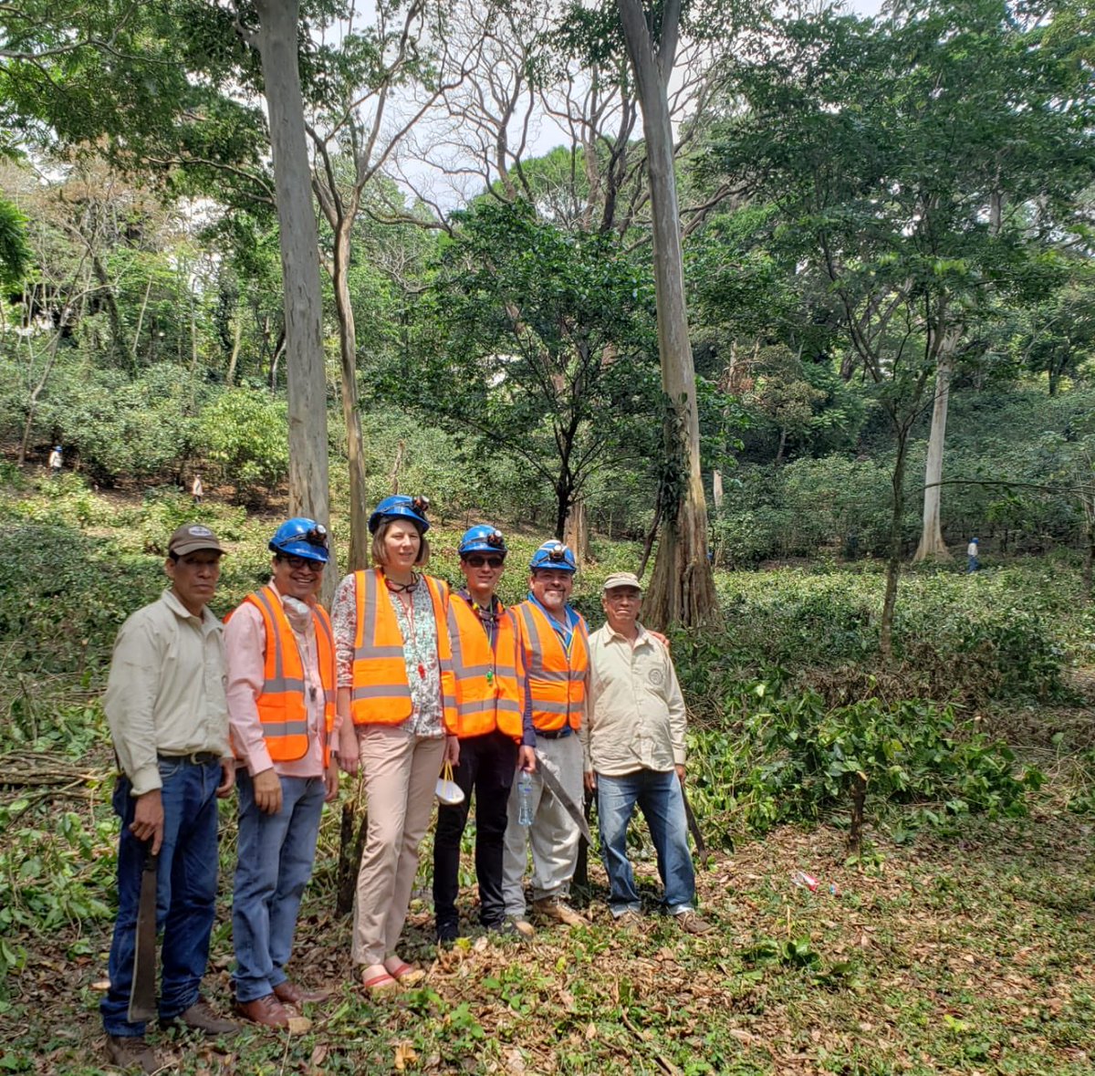 Twenty different varieties are grown at this coffee farm of the Universidad de San Carlos de Guatemala near an active volcano. We felt slightly uncomfortable hearing the volcano roar despite having to wear protective gear. #Coffee #Coffeefarm #Volcano #Guatemala