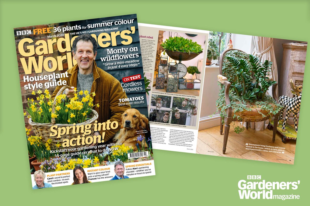 GWmag's tweet photo. Style your houseplants like a pro! See how expert @MattPottage greens up every room in his home. Only in the March issue of @GWMag, out now or buy online at https://t.co/JIUqldWRrO #houseplants #expertsathome https://t.co/PxwBm79EGi