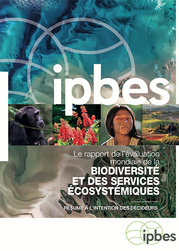 AMDucroux's tweet photo. #Biodiversité - Consulter le résumé du rapport de l'@IPBES organisme intergouvernemental indépendant mis en place en 2012 par + de 130 États membres. Plus de 15 000 publications scientifiques ont été analysées, ainsi que des savoirs autochtones et locaux : https://t.co/kW2D8K9Esp https://t.co/r7Ia4Lg9Bp