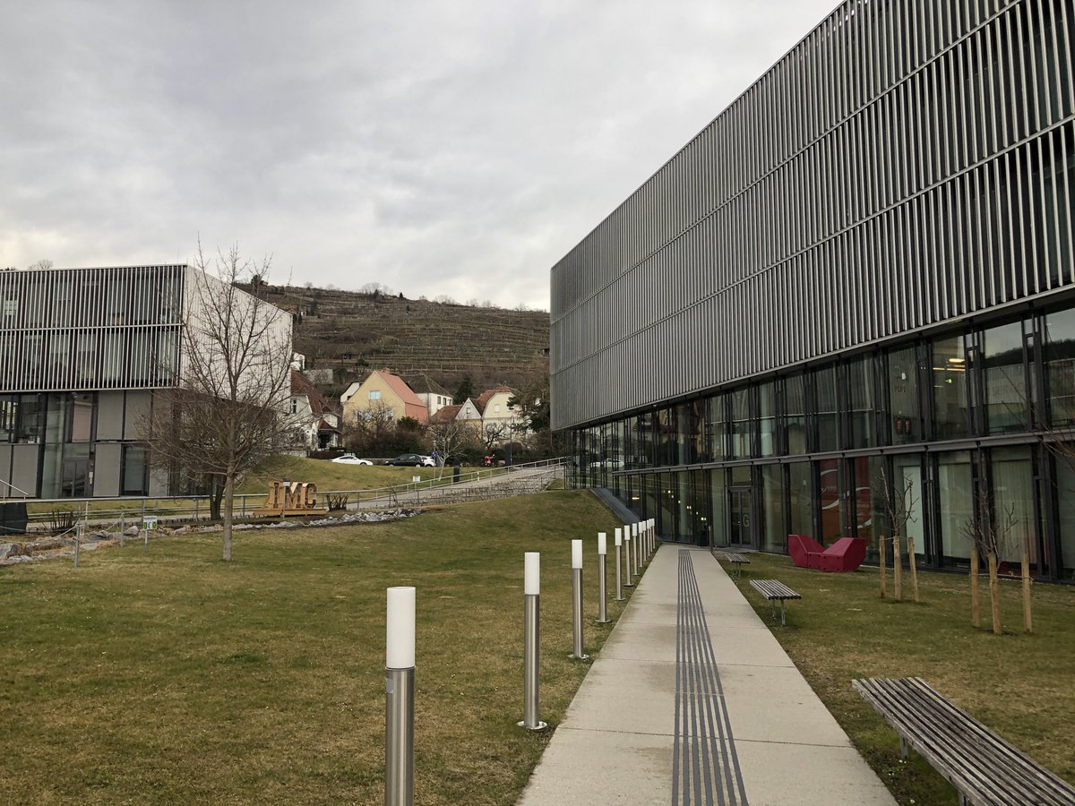 Prof Fiona Chambers tweet media