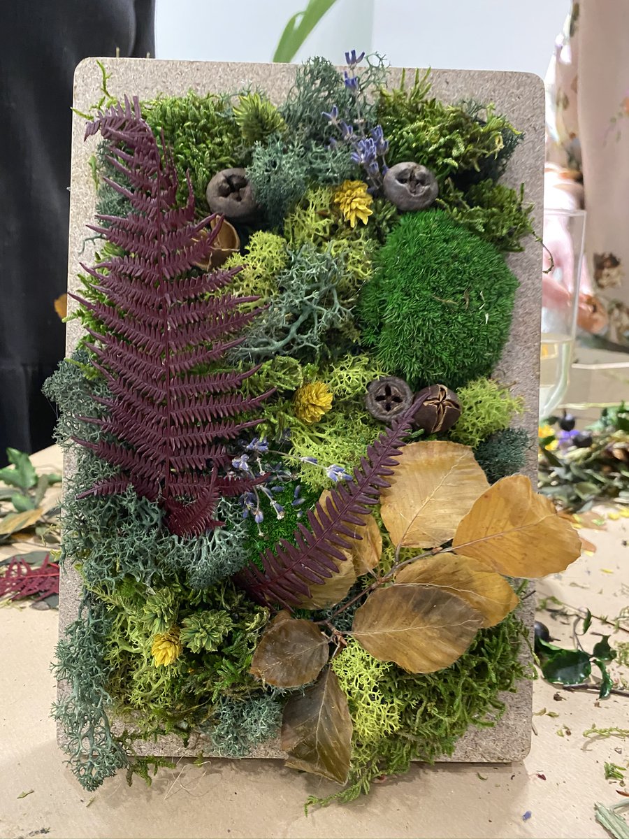 Newman_Gauge's tweet photo. Who knew moss wall making would be so fun? #innerspacecheshire #allermuir #senatorgroup #greenwall #afterworkactivities #Birmingham https://t.co/bjtbuVZSMa