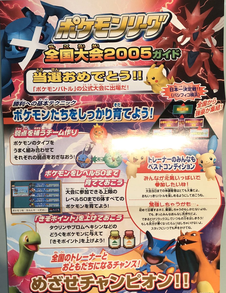 ポケモン 徹底