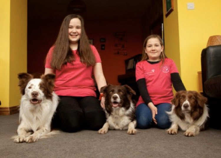 UKFlyball's tweet image. One of the YKC teams running at @Crufts contains an unusual mix of human and canine siblings. 
Sophia and Jessica run with Star Paws in Scotland.  
It’s great to see some of our junior members recognised. thecourier.co.uk/fp/news/local/…
