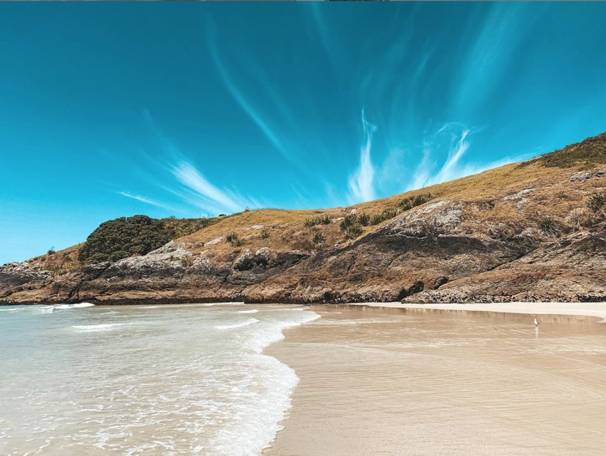 Bookabach tweet media