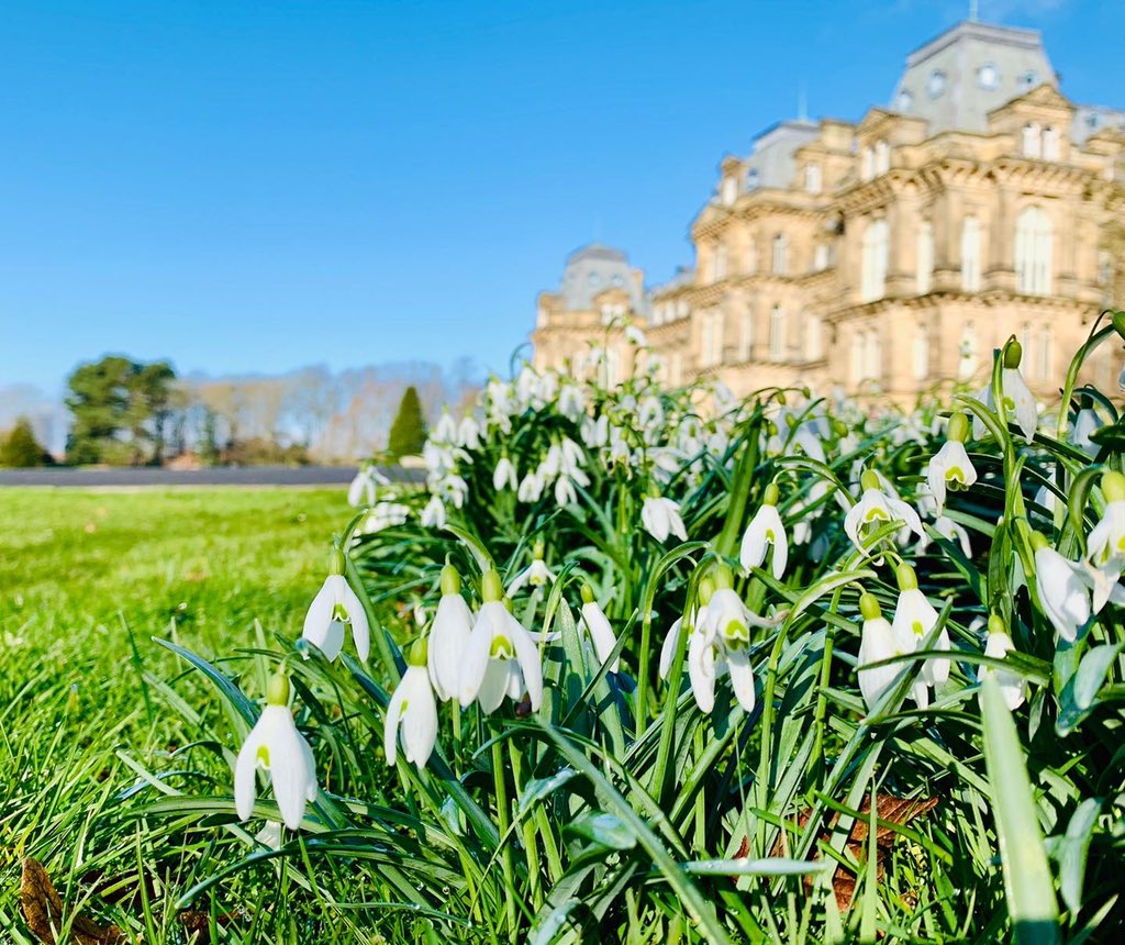 TheBowesMuseum's tweet photo. Last week we arrived at work to find the Museum covered in a fluffy white jacket. The next day the sun was caressing the lovely snowdrops around the grounds. Spring must be on its way!
Is anyone still wishing for snow?
#TheBowesMuseum #parkandgrounds #snowdrops #spring #sunishere https://t.co/L45w5EVXoS