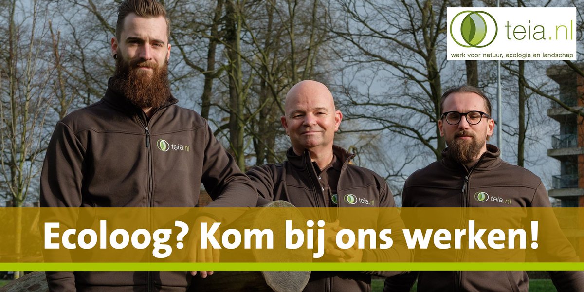 Ambities om aan de slag te gaan in de #ecologie? Beschikbaar voor #veldwerk vanaf 1 mei? Dan zoeken wij jou! In dit filmpje vertellen projectleiders Arthur, Harmen en Jeroen er meer over. Solliciteer nu! youtu.be/PG3vuZmXUuU