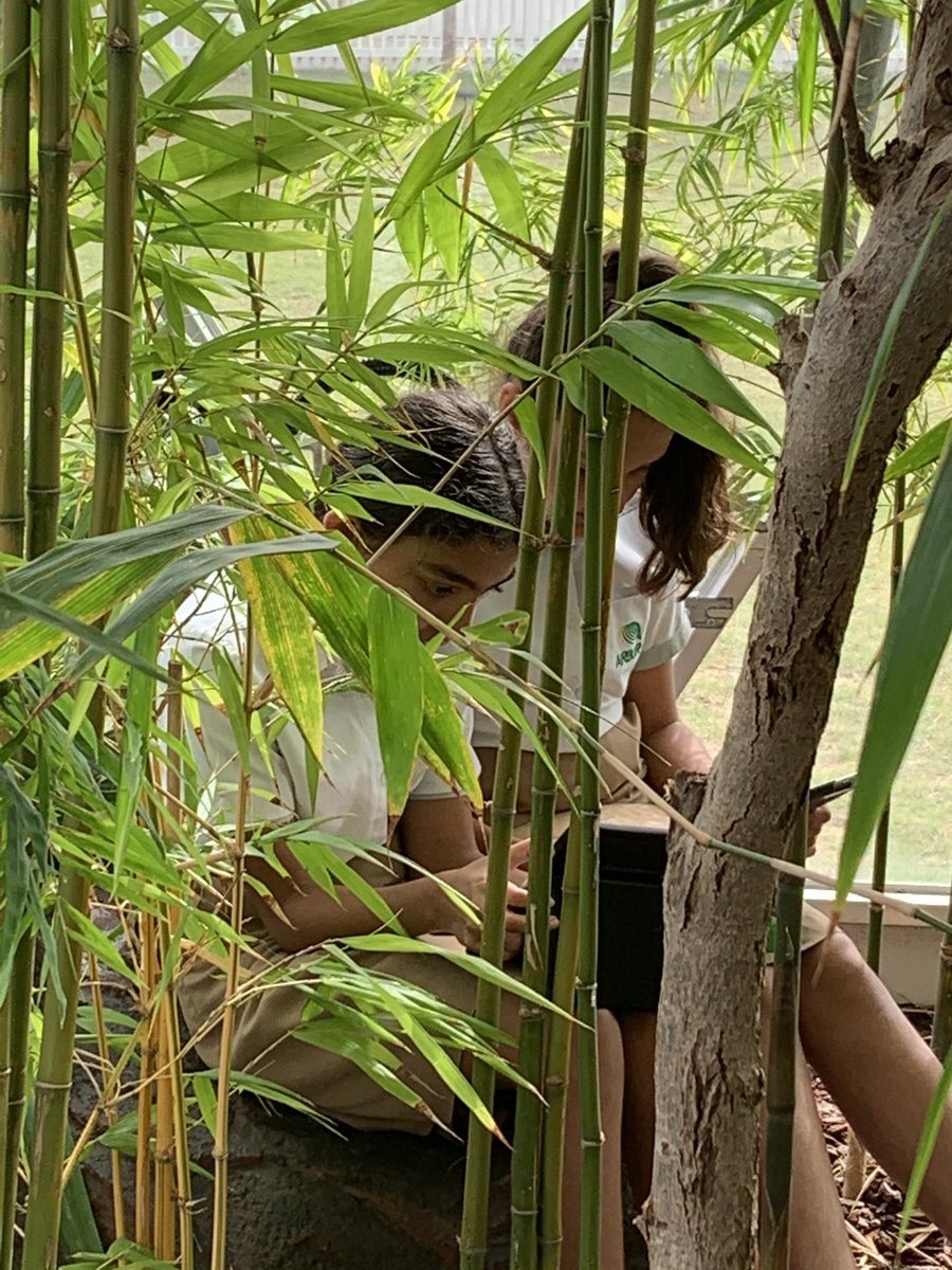 The Arbor School tweet media