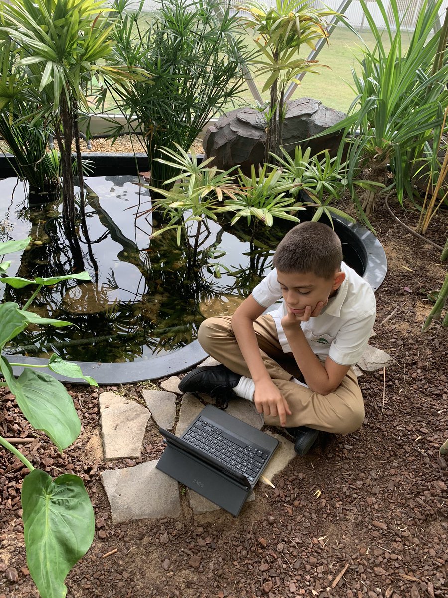 The Arbor School tweet media