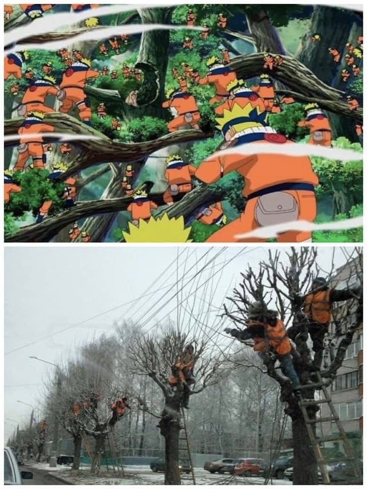 ESGRImyWkAAWqZS?format=jpg&name=medium