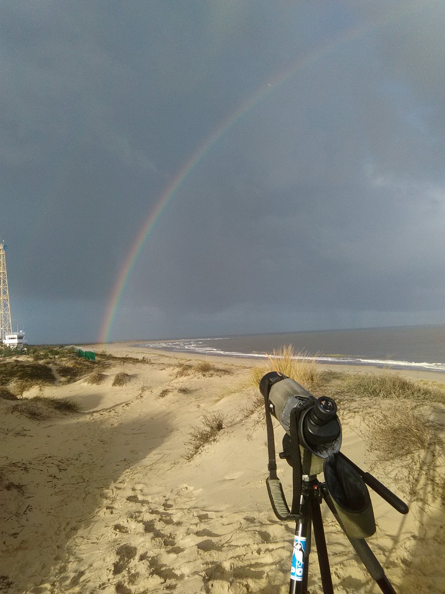 The Pointe de Grave migration study station (France, Gironde) is open for the 35th monitoring season. Already the first Barn swallow. All the results trektellen.nl/count/view/235…