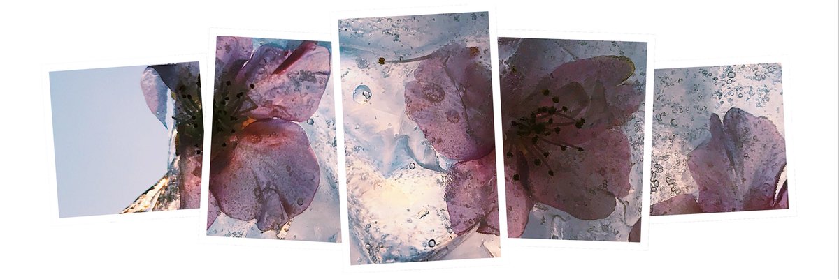 宵月 絃 フリーヘッダー 加工などはしてくださって構いませんが 自作発言 無断転載等はされないでください 使用報告 プロフィールへのid記載はお任せします