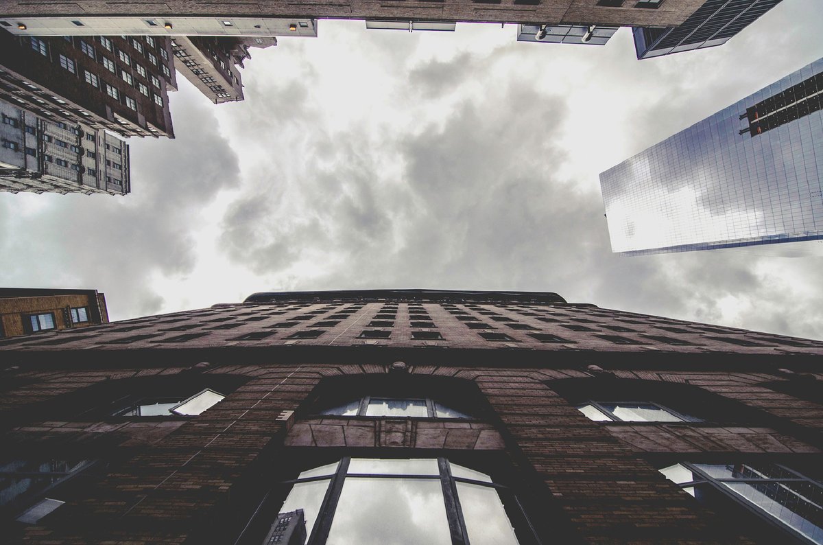 Morgan Lloyd tweet media