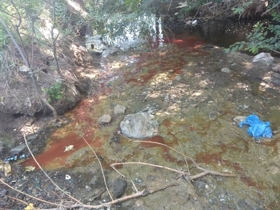 cabarasia's tweet image. #журналистскиерасследования #InvestigationCABARasia
Скотный рынок «Жантай», где обнаружено нарушение санитарных норм, будет ликвидирован – руководство.
#kyrgyzstan #investigativejournalism
buff.ly/2TdrAfW