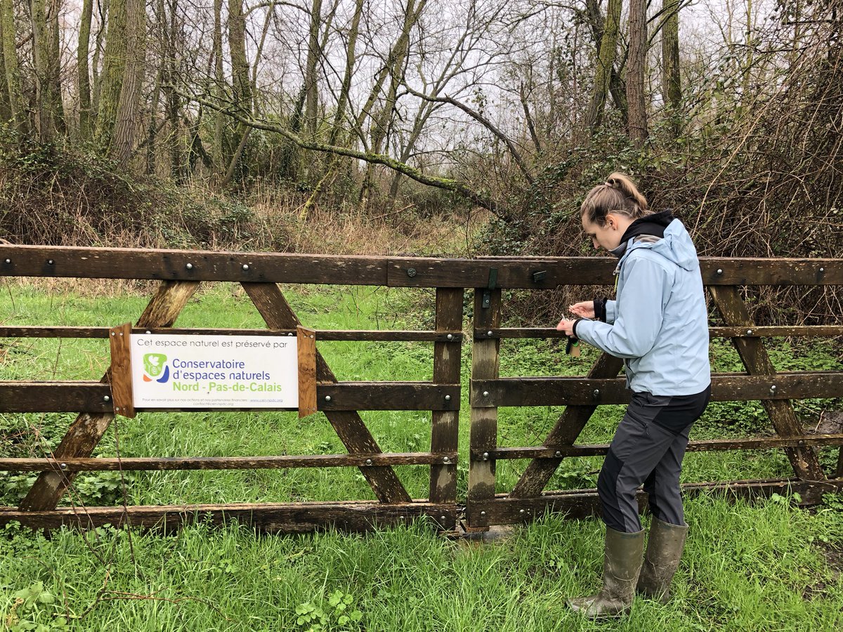 LepineChris's tweet photo. Dans le cadre d’un partenariat avec @vnf_officiel mais aussi @rte_france @RTE_nord, le Conservatoire d’espaces naturels du Nord Pas-de-Calais futur #cen #hautsdefrance préserveles prairies de #millam #nord, l’un des derniers endroits du coin où l’on trouve des rainettes ! https://t.co/HO9YLFtf2B