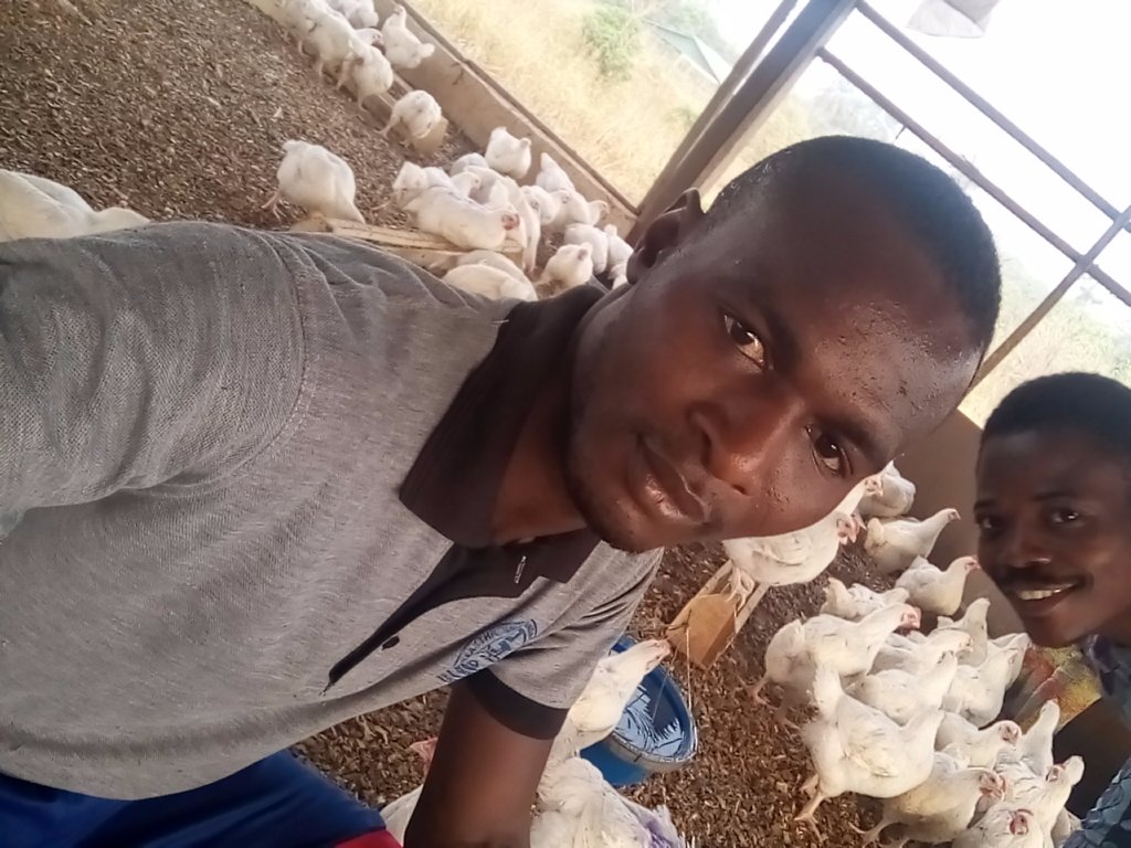 OTitiola's tweet image. In ondo state epe farm Wishing pastor adeboye a happy birthday and a prosperous new year 
#ondoepefarm #Ondopoultryempowerment
#OSAEC