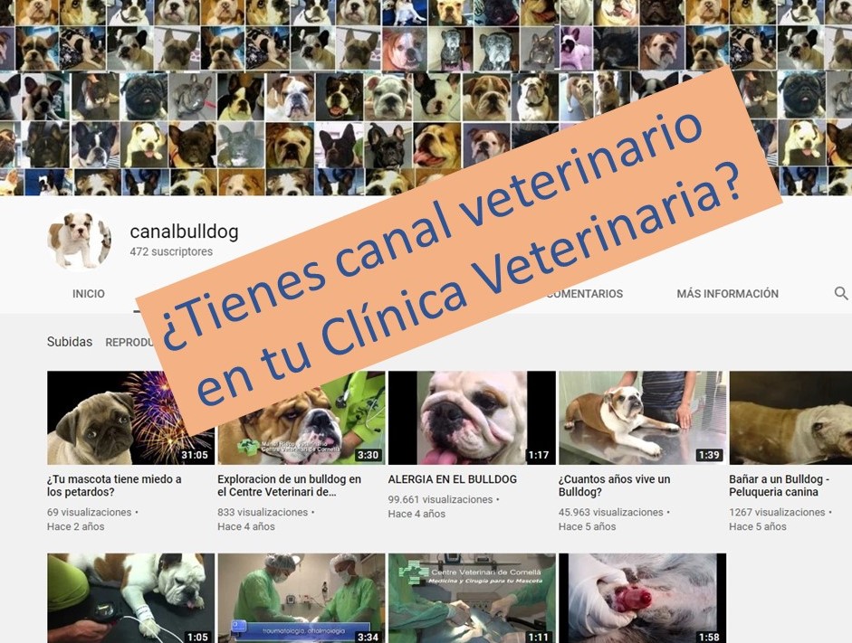 EnricVet's tweet photo. El 68% de los internautas utiliza YouTube. Mediante esta plataforma se puede llegar a la mayoría de propietarios de mascotas, incluyendo a los que no utilizan Facebook o Instagram.
Más info en mi libro: https://t.co/XRyansTFXg  #youtube #veterinarymarketing https://t.co/g7z1F03JXs