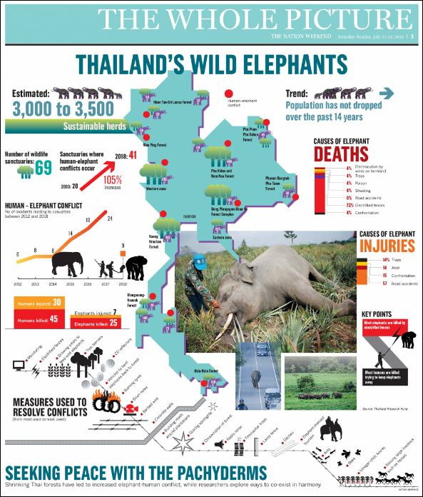 SEAFARERDIVERS's tweet photo. THAILAND (Tourism - Environment) - QUESTIONNING THE HERD MENTALITY - THE LONG TRADITION OF ELEPHANT RIDES IS UNDER SCRUTINY OVER ETHICAL CONCERNS
Monday 02 March 2020 at 06:38 - Writer: Dusida WORRACHADDEJCHAI

https://t.co/zYyadxDdqy https://t.co/jhYQEvt9Yf