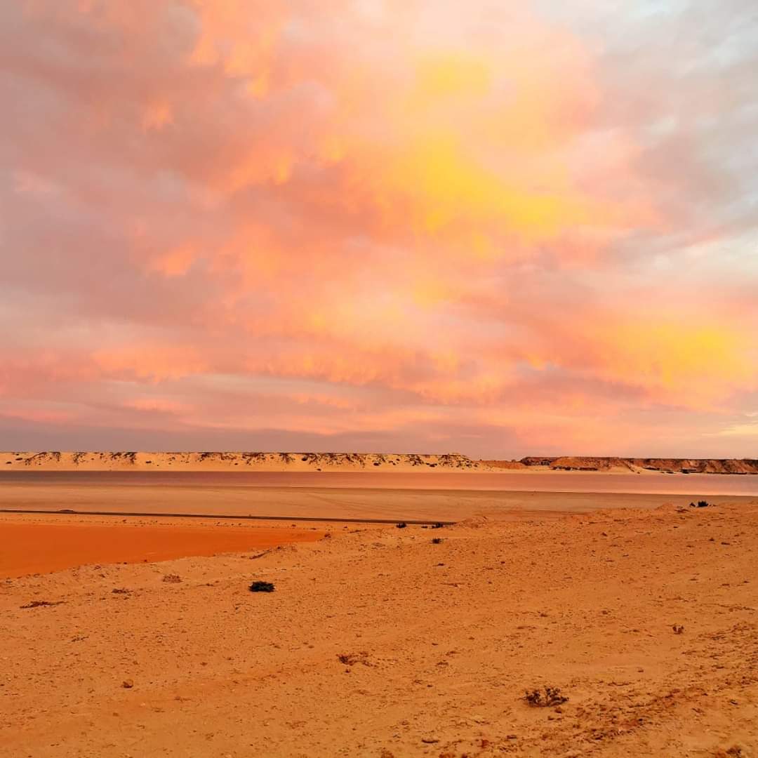 Dakhlaoueddahab's tweet photo. ✨Quand le désert prend feu à Dakhla! Les couleurs de l hiver sont assez dingue ici!
#Dakhla
#Dakhlamaroc
#travelphotography 
#kitesurfing https://t.co/WTi7agErYc