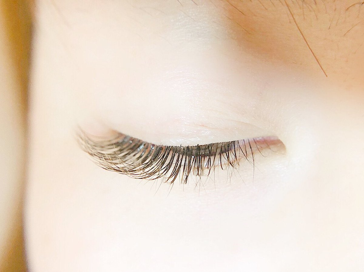 Mil Eyelash Mil Eyelash Twitter Mil Eyelash Mil Eyelash Twitter