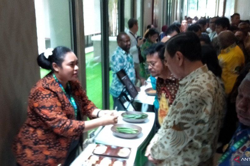 The Indonesian government in association with Yayasan Inisiatif Dagang Hijau (Green Trade Initiative Foundation) took a total of 45 foreign investors to witness firsthand the business potential in the country's eastern provinces of Papua and West Papua.

buff.ly/2uIhJFx