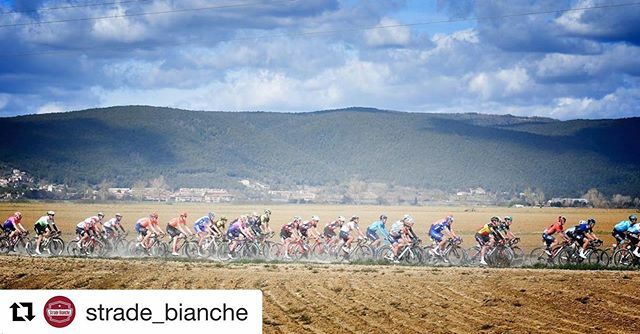 Tutto pronto per @strade_bianche ! Sabato 7 Marzo torna la “neo-classica” del Nord più a Sud d’Europa!
#stradebianche #stradebianche2020 ift.tt/39gbLe3