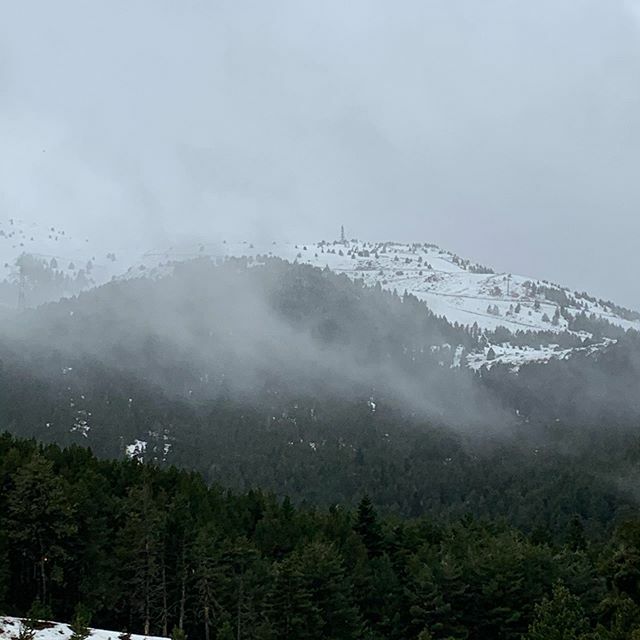 Acebomarta's tweet photo. Nieveeeeeee #project365 #aceboproject365in2020 https://t.co/Ovxixe0Clr https://t.co/dQjzbX1zmy