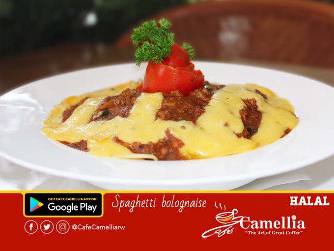 Camelliamoments Hashtag On Twitter