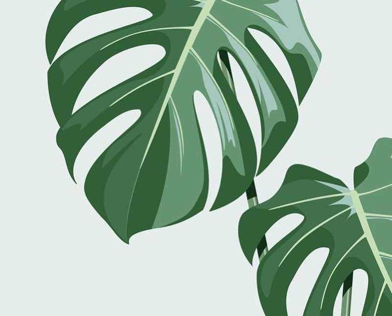 Ten by Twenty tweet media