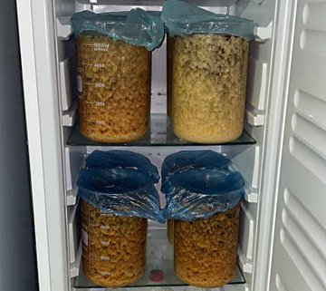 View image on Twitter