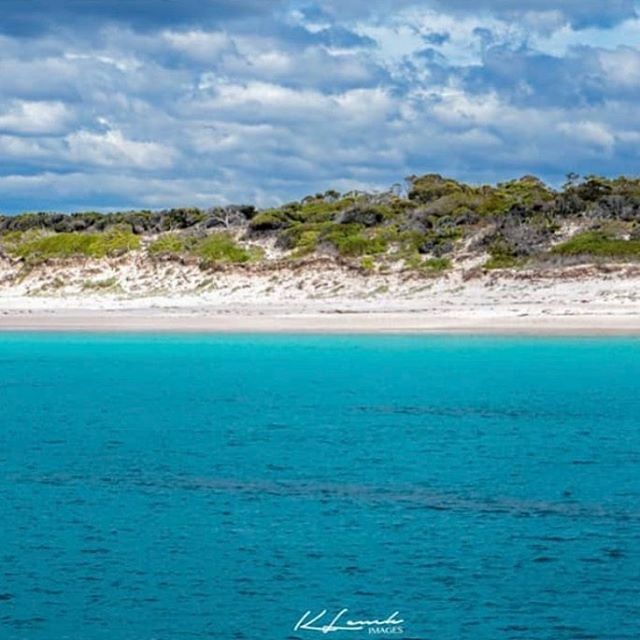 No filters required when you have colours like this naturally.  The turquoise waters of Wineglass Bay lapping at the white sand fringes with clear blue skies overhead.  Stunningly captured by @tassiekirsten on our Wineglass Bay Cruise.
#pennicottwilderne… ift.tt/2Icz8te