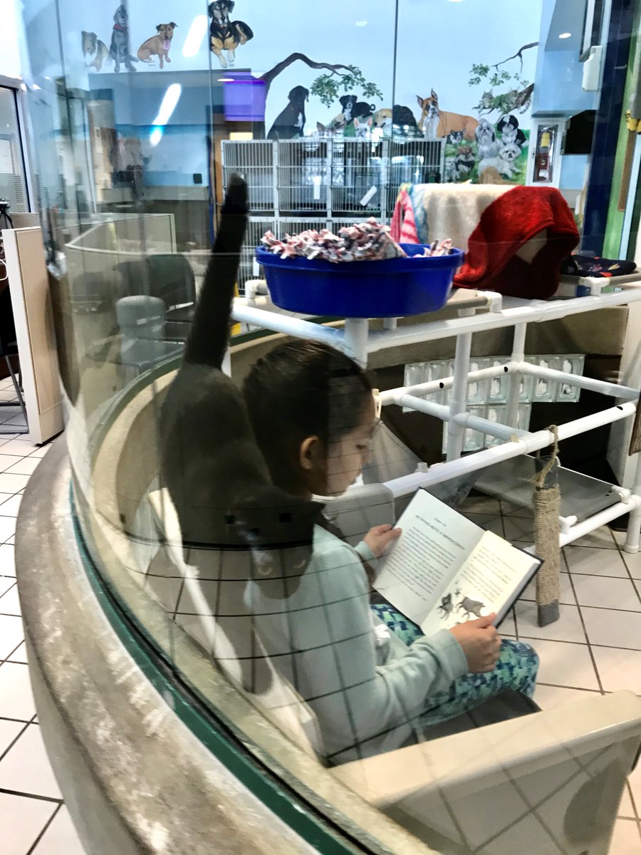 Happy #ReadAcrossAmerica Day. We celebrate readers of all ages who read to our shelter dogs &amp; cats at @AnimalsPCAS.   #WorkGrowMatter