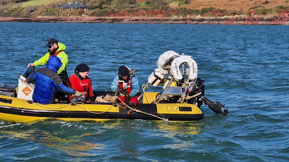 The last of 700000 seagrass seeds being planted into Dale Bay, West Wales by the team <a href="/SwanseaUni/">Swansea University</a> and <a href="/ProjectSeagrass/">Project Seagrass</a> 

#ClimateChange #NatureBasedSolutions