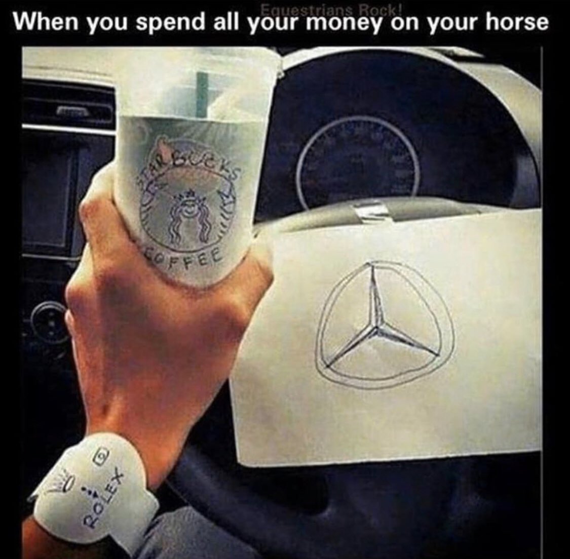 statelinetack's tweet photo. Tag an equestrian in the comments below! 😂 💜 🐴 https://t.co/rvh9hoIazb