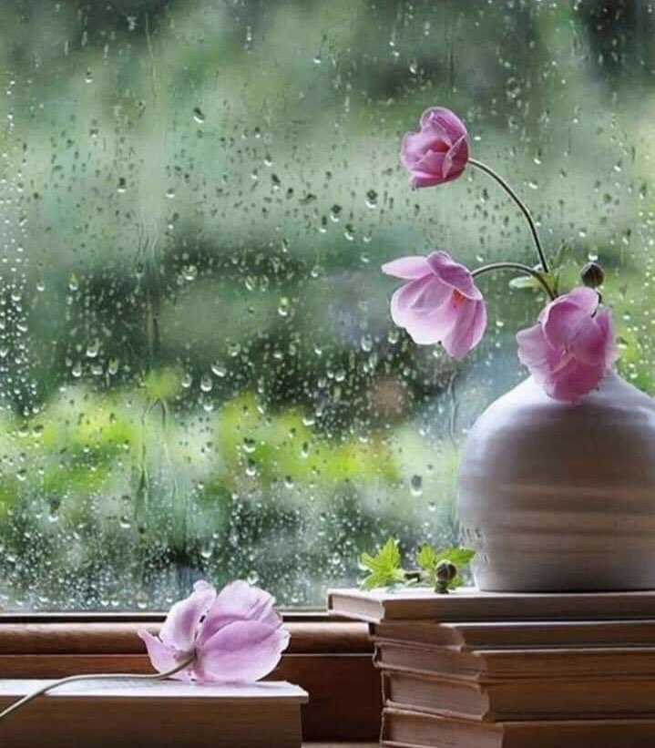 هناك أشياء بسيطة جدًا ،
لكنها تُعطي للحياة , حياة.                      
#مساء_الخير